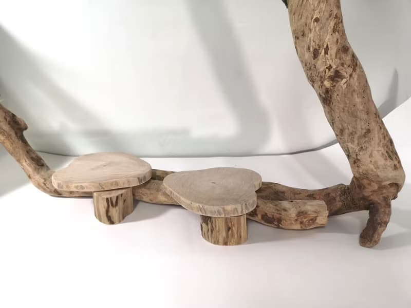 -眼鏡蛇-  花架 花座 展示架 盆栽架 多肉植物 木頭擺飾