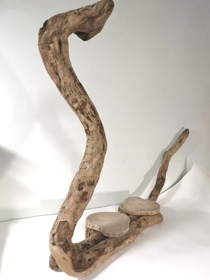 -眼鏡蛇-  花架 花座 展示架 盆栽架 多肉植物 木頭擺飾