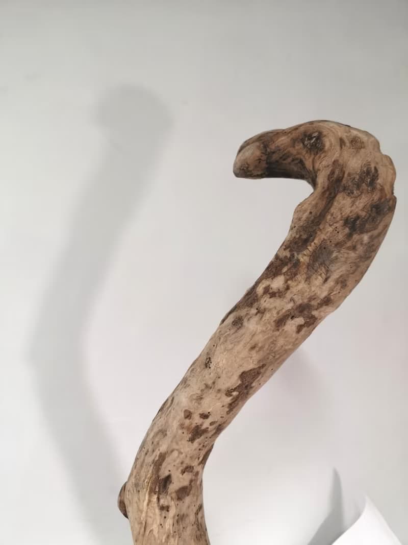 -眼鏡蛇-  花架 花座 展示架 盆栽架 多肉植物 木頭擺飾