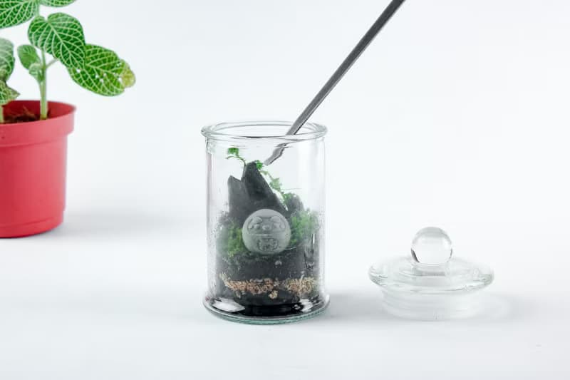 植炭生態瓶 | 迷你款 DIY材料包 含教學影片  送禮/畢業/療癒