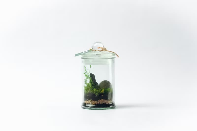 植炭生態瓶 | 迷你款 DIY材料包 含教學影片  送禮/畢業/療癒