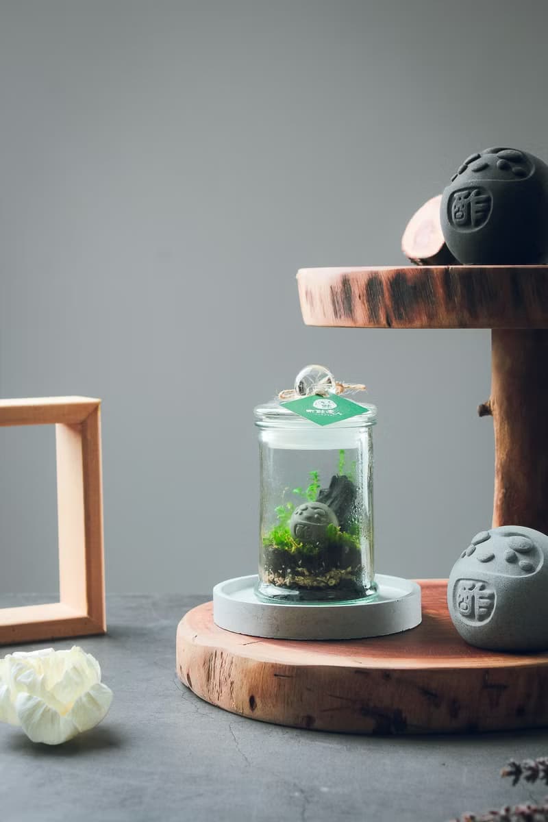 植炭生態瓶 | 迷你款 DIY材料包 含教學影片  送禮/畢業/療癒