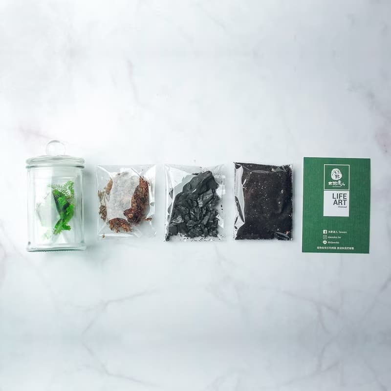 植炭生態瓶 | 迷你款 DIY材料包 含教學影片  送禮/畢業/療癒