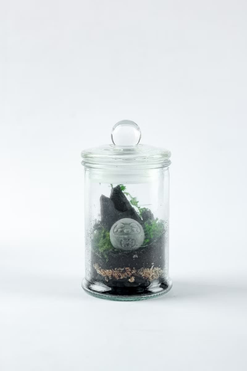 植炭生態瓶 | 迷你款 DIY材料包 含教學影片  送禮/畢業/療癒