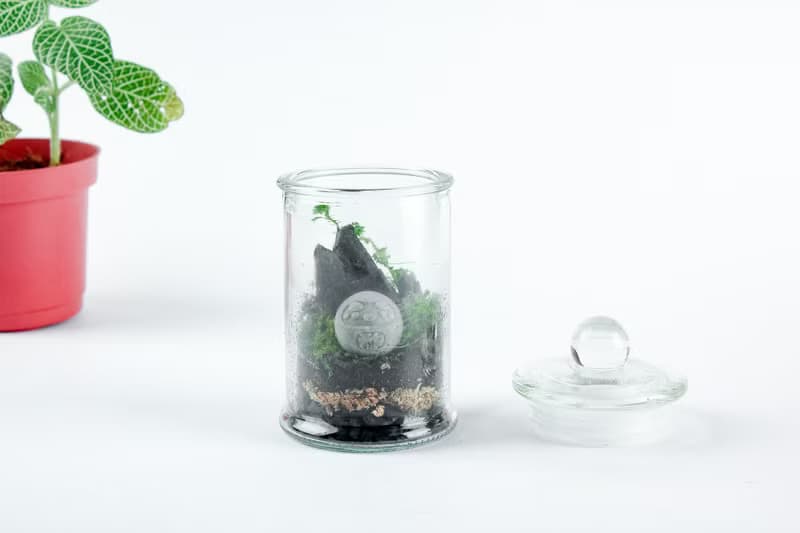 植炭生態瓶 | 迷你款 DIY材料包 含教學影片  送禮/畢業/療癒