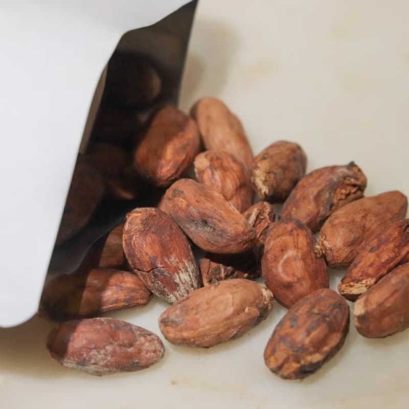 台灣手工嚴選可可原豆