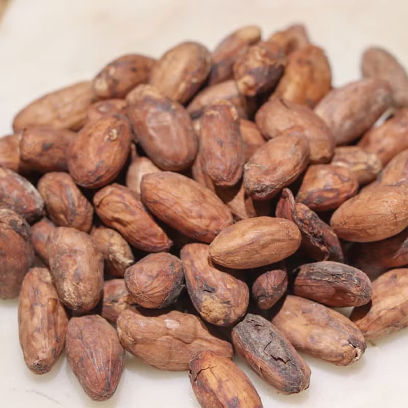 台灣手工嚴選可可原豆