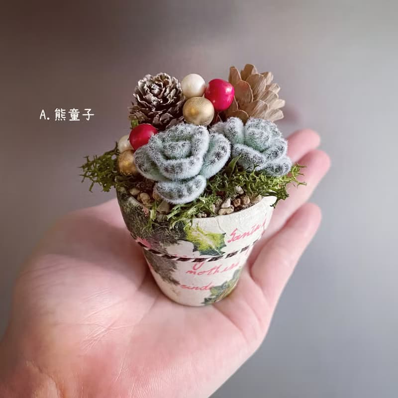 多肉植物聖誕盆栽 共2款。手工仿真黏土多肉植物