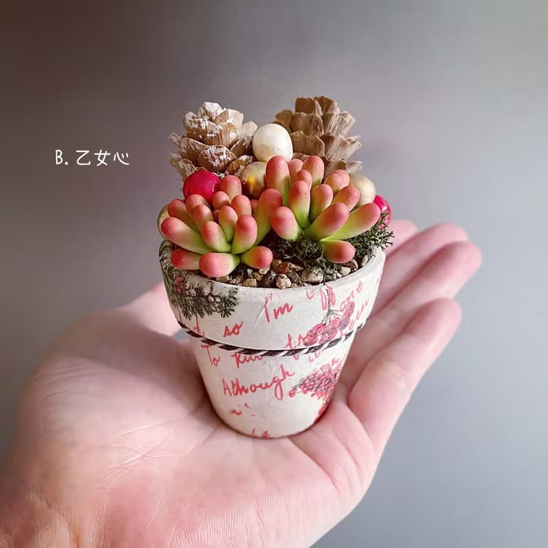 多肉植物聖誕盆栽 共2款。手工仿真黏土多肉植物