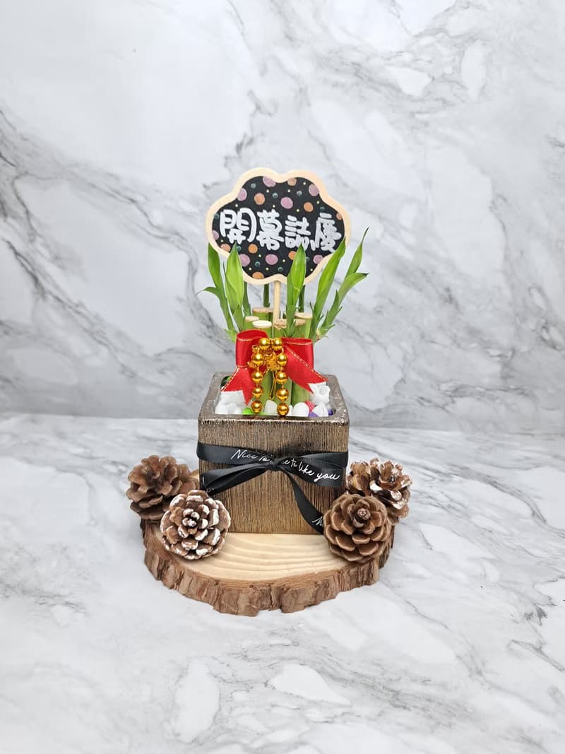 金屬光質感禮物盒 開運竹 萬年青 開幕 入厝 喬遷 升遷 水耕植物