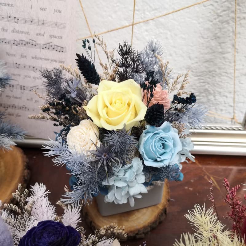 乾燥花盆 永生盆花 午夜藍 開幕誌慶 花禮 開幕慶賀 盆花 水泥盆