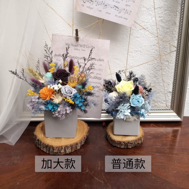 乾燥花盆 永生盆花 午夜藍 開幕誌慶 花禮 開幕慶賀 盆花 水泥盆