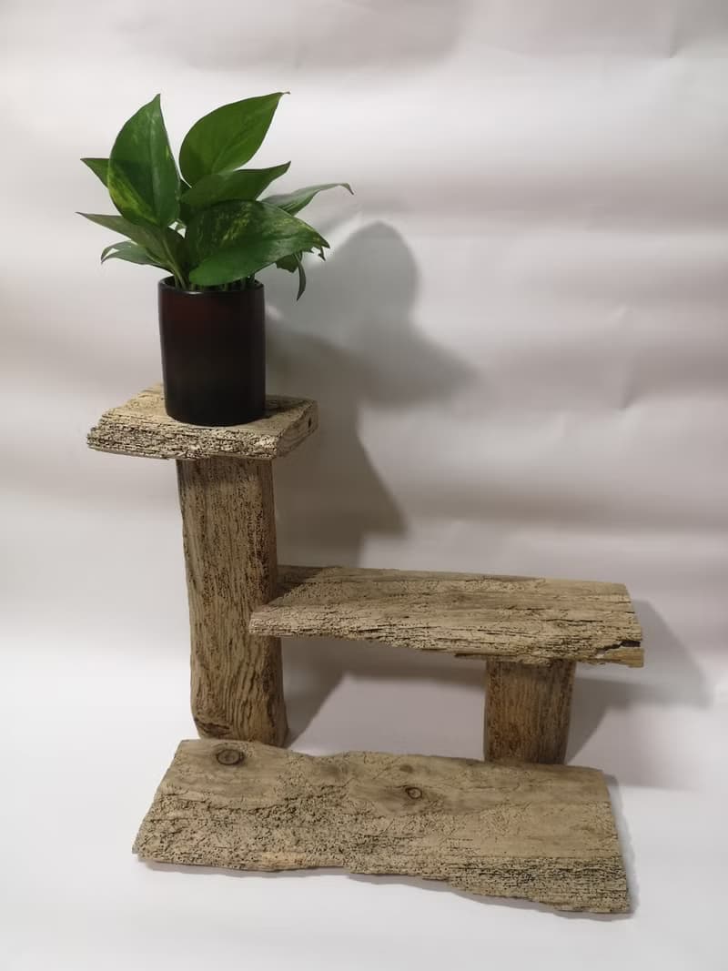 -蛀蛀洞- 花架 花座 展示架 盆栽架 多肉植物 書架