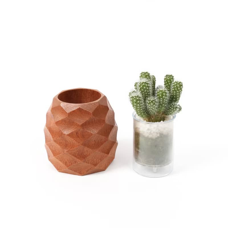 【鳳梨造型盆器】樸實原木 多肉盆器(不含植物)  | 蒔光