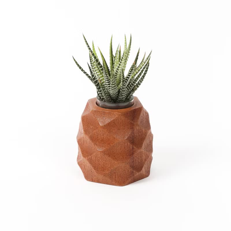 【鳳梨造型盆器】樸實原木 多肉盆器(不含植物)  | 蒔光