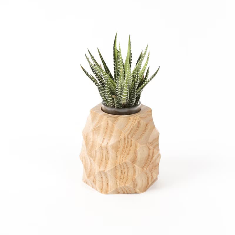 【鳳梨造型盆器】樸實原木 多肉盆器(不含植物)  | 蒔光