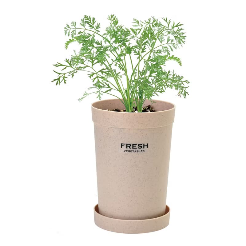 【秋冬推薦】自給自足根菜栽培組 紅蘿蔔/白蘿蔔