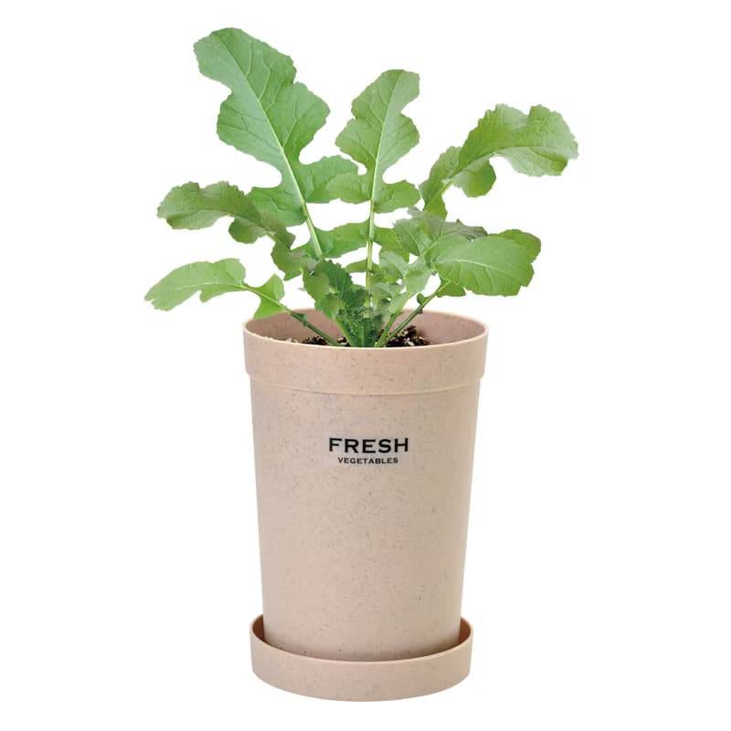 【秋冬推薦】自給自足根菜栽培組 紅蘿蔔/白蘿蔔