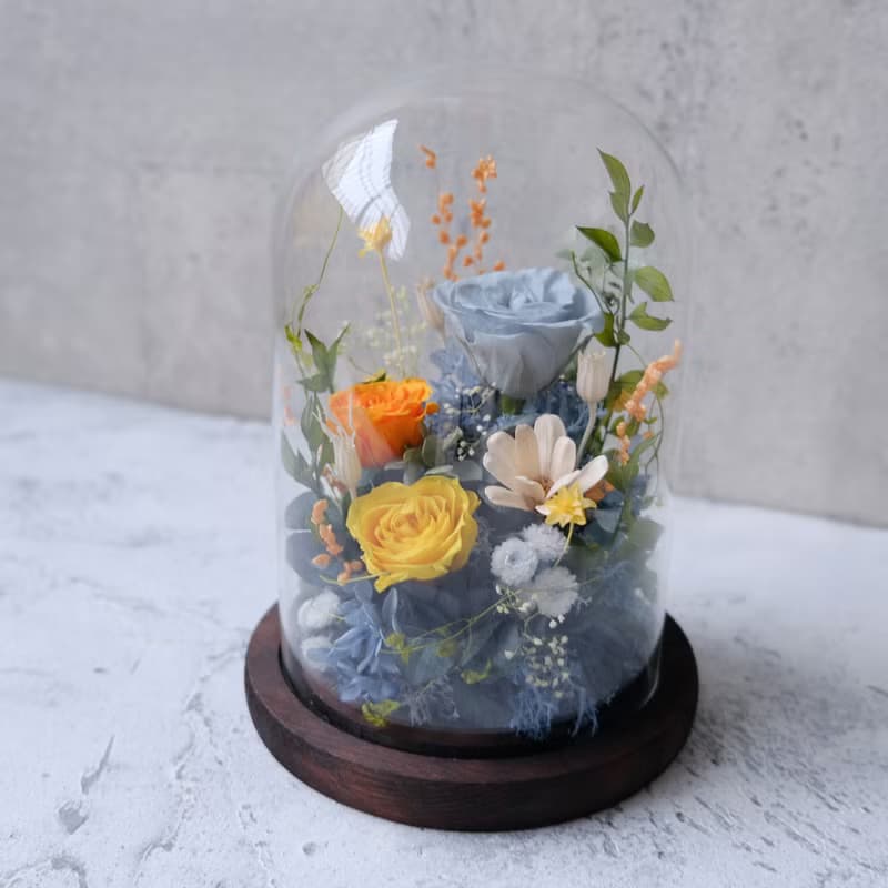 玻璃鐘罩/藍色/橘色/不凋花/永生花/乾燥花