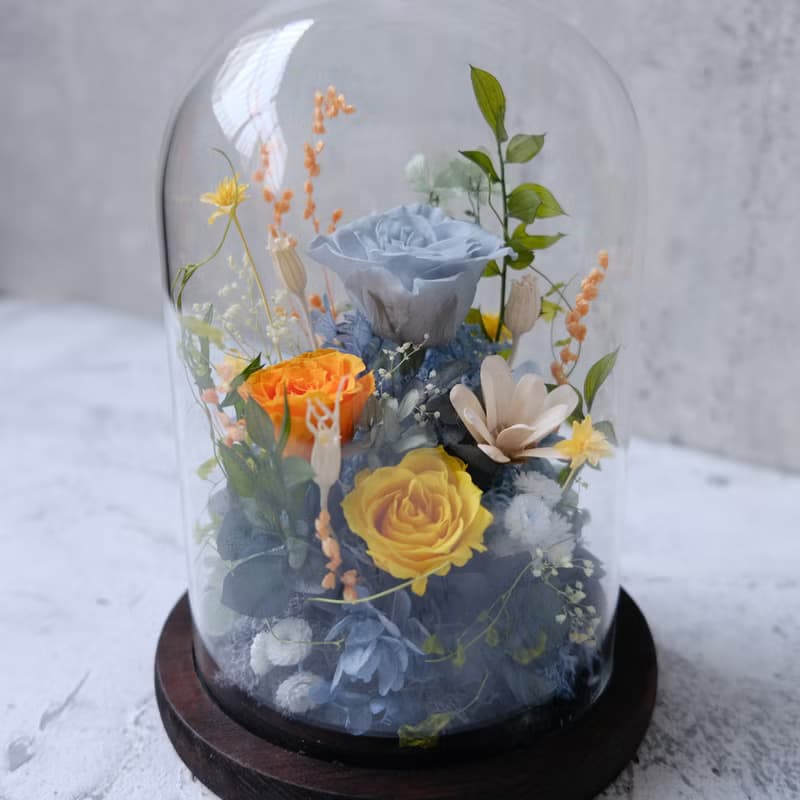 玻璃鐘罩/藍色/橘色/不凋花/永生花/乾燥花