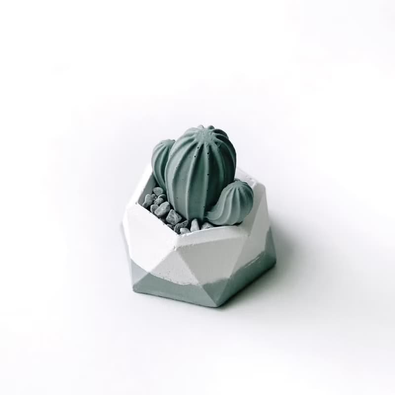 (現貨)莫蘭迪綠系列 | 仙人掌造型水泥擴香石組合 辦公室懶人植栽