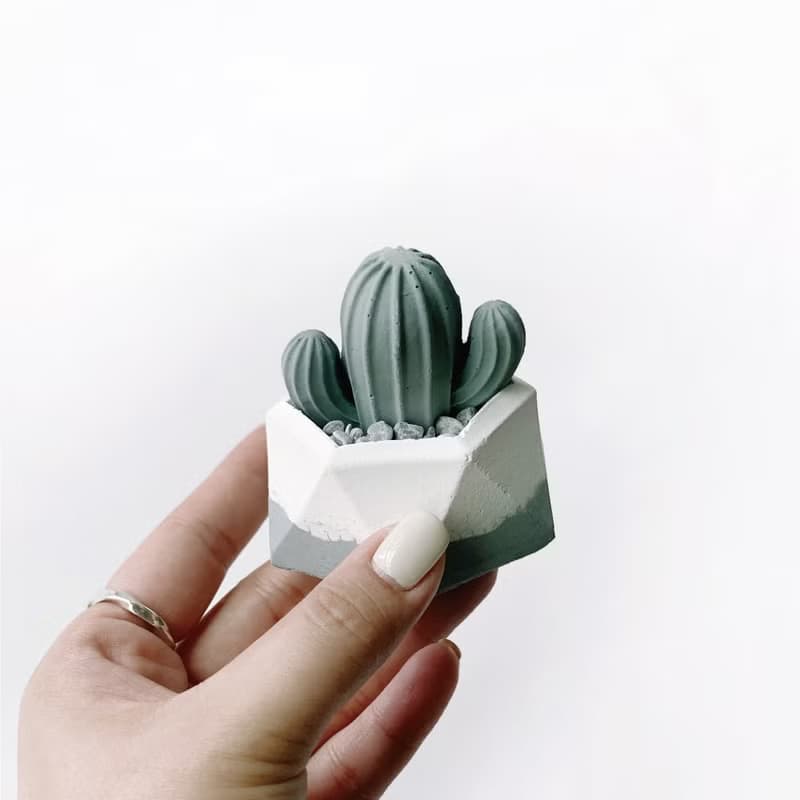 (現貨)莫蘭迪綠系列 | 仙人掌造型水泥擴香石組合 辦公室懶人植栽