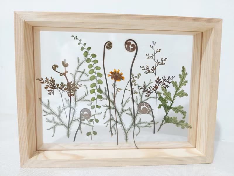 【押花相框】真花壓花 蕨 熱帶植物 禮物 室內擺設/ A5