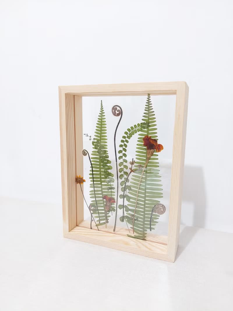 【押花相框】真花壓花 蕨 熱帶植物 禮物 室內擺設/ A5