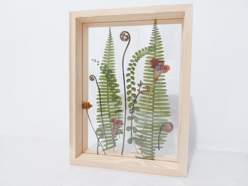 【押花相框】真花壓花 蕨 熱帶植物 禮物 室內擺設/ A5