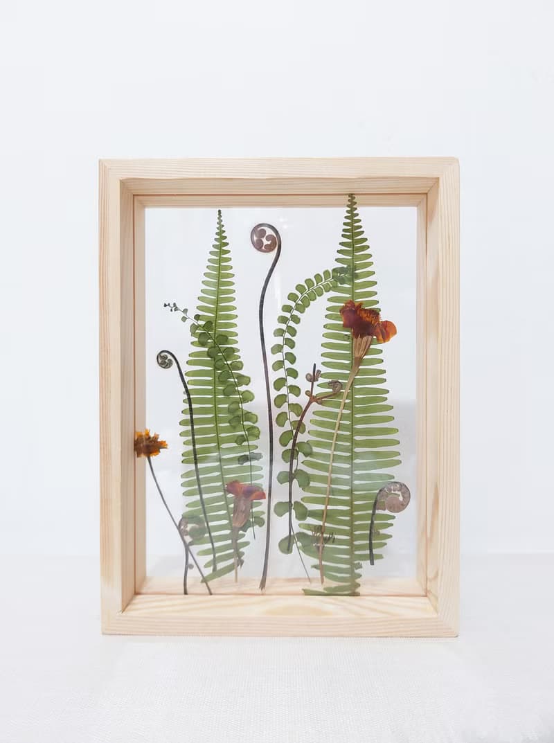 【押花相框】真花壓花 蕨 熱帶植物 禮物 室內擺設/ A5