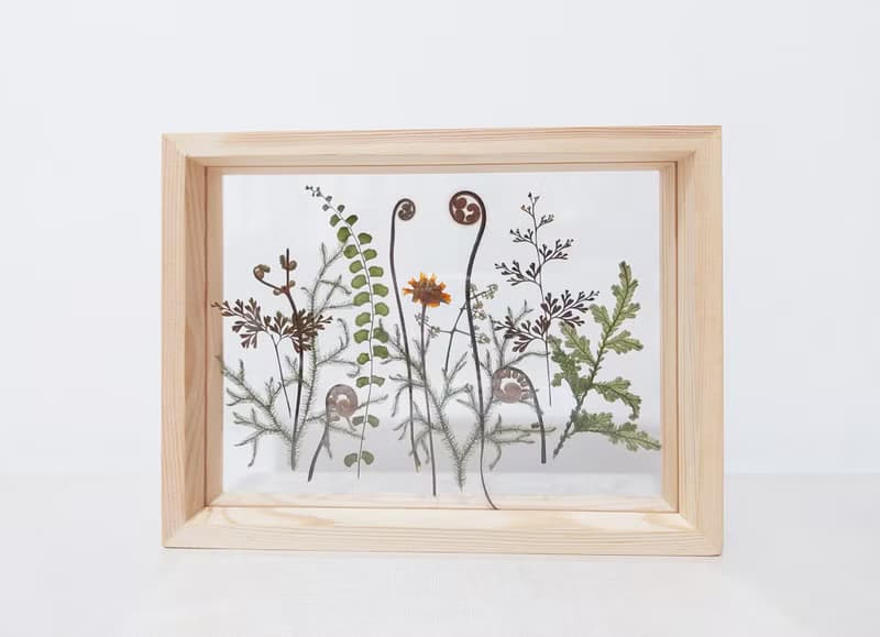 【押花相框】真花壓花 蕨 熱帶植物 禮物 室內擺設/ A5