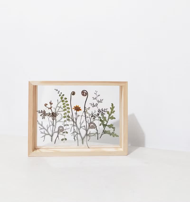 【押花相框】真花壓花 蕨 熱帶植物 禮物 室內擺設/ A5