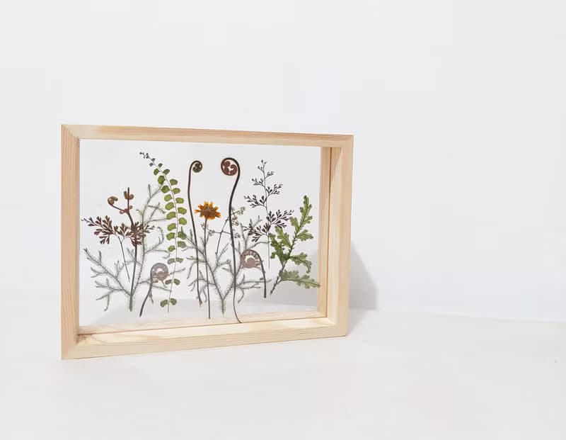 【押花相框】真花壓花 蕨 熱帶植物 禮物 室內擺設/ A5