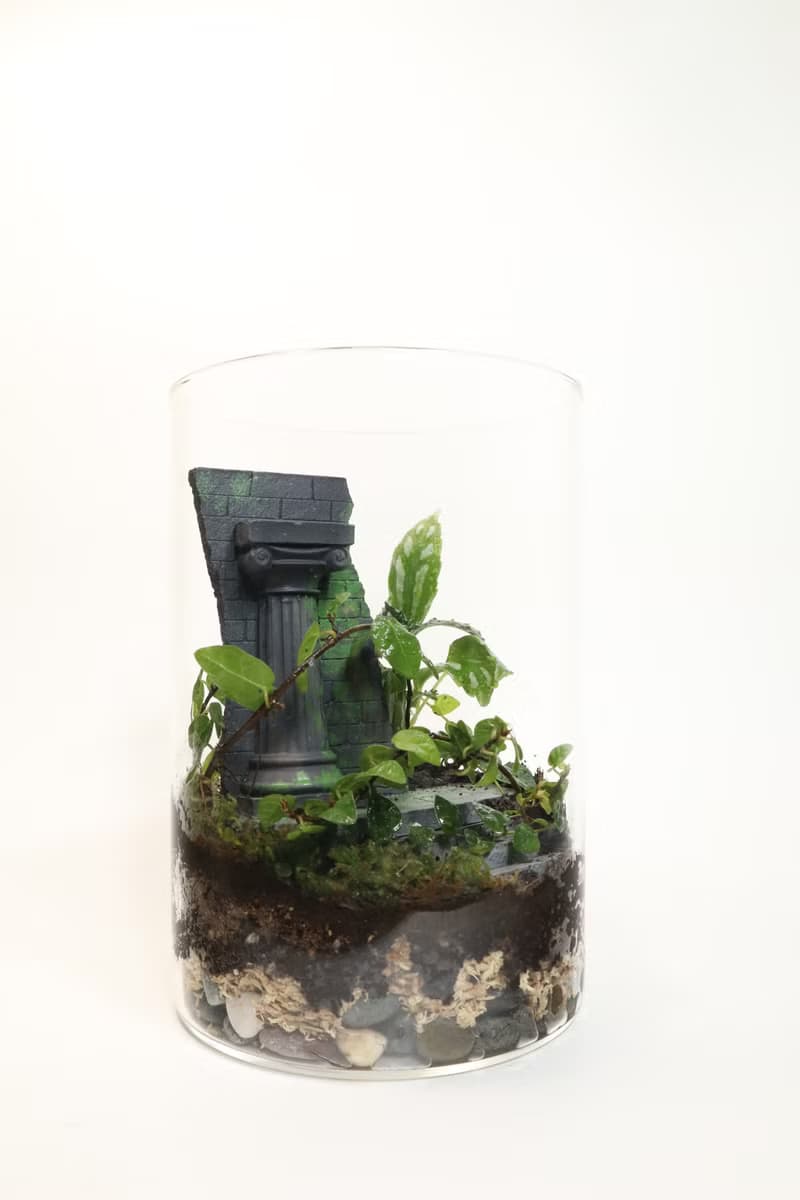 【微景觀】巴勒貝克之謎 Baalbek -羅馬遺跡/室內植物/生日禮物