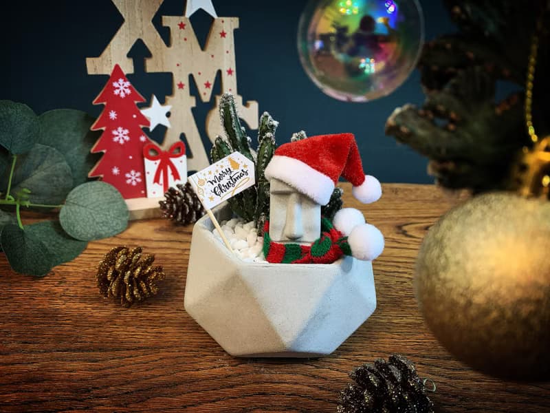 【24H寄出.療癒系聖誕交換禮物】摩艾多肉鑽石水泥盆栽