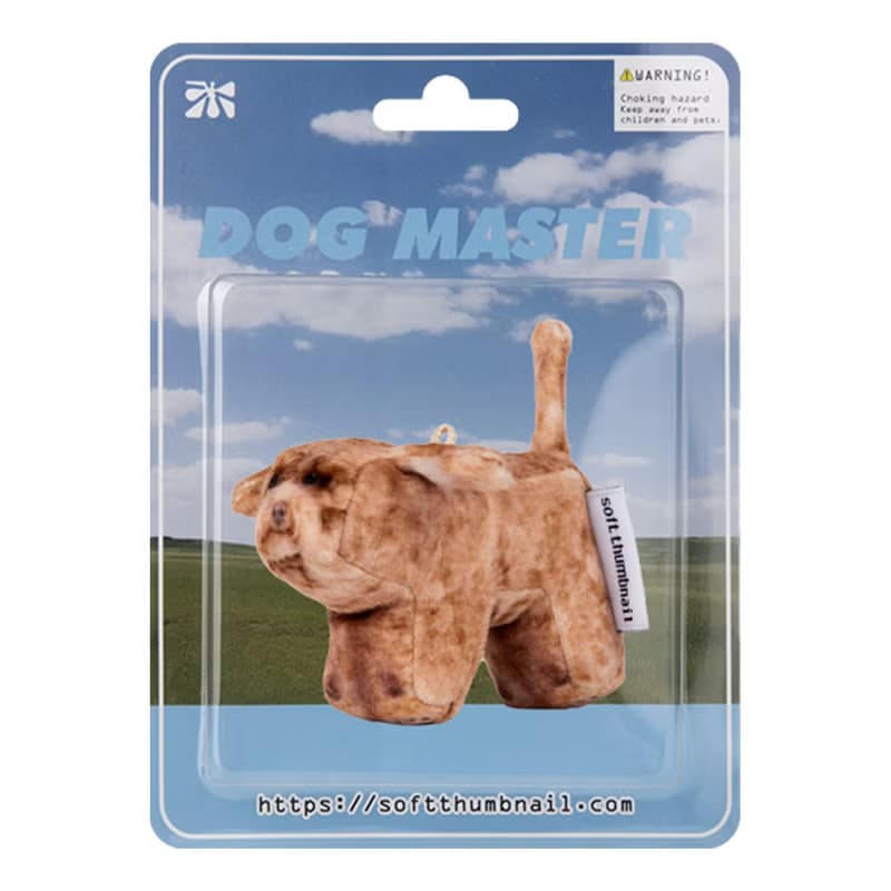 Coco, Poodle