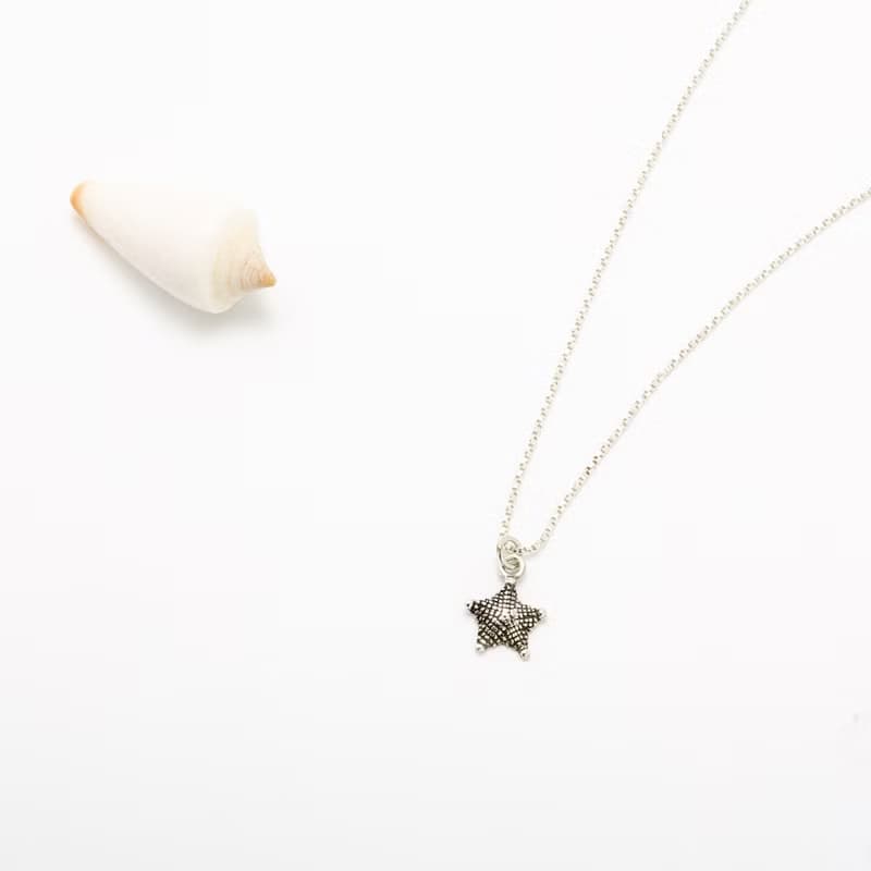 【Angel & Me】海星 s925 純銀 項鍊 生日 情人節 聖誕節 禮物