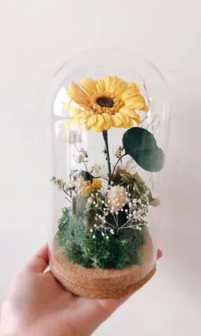 梵谷瓶中花園 畢業禮物 向日葵 非洲菊
