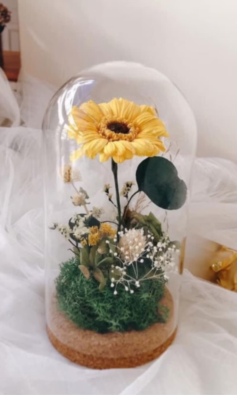 梵谷瓶中花園 畢業禮物 向日葵 非洲菊