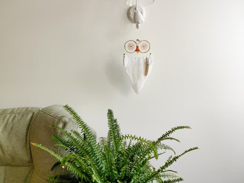 Owl Dream Catcher for Bedroom Wall | Handcrafted with Love for Serene Ambiance