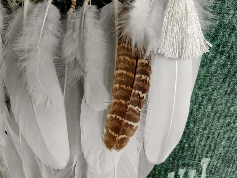 Owl Dream Catcher for Bedroom Wall | Handcrafted with Love for Serene Ambiance