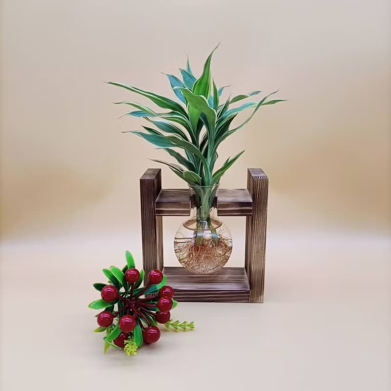 水培植物 斑葉萬年青 開運竹 懶人植栽 創意木架 室內植物