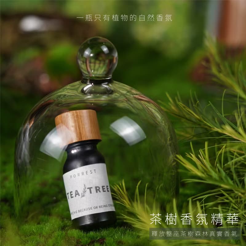 茶樹香氛精華 - 一瓶只有植物的擴香香氛