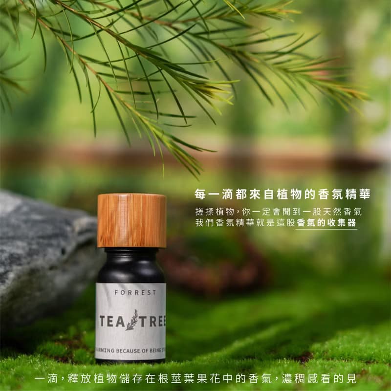 茶樹香氛精華 - 一瓶只有植物的擴香香氛