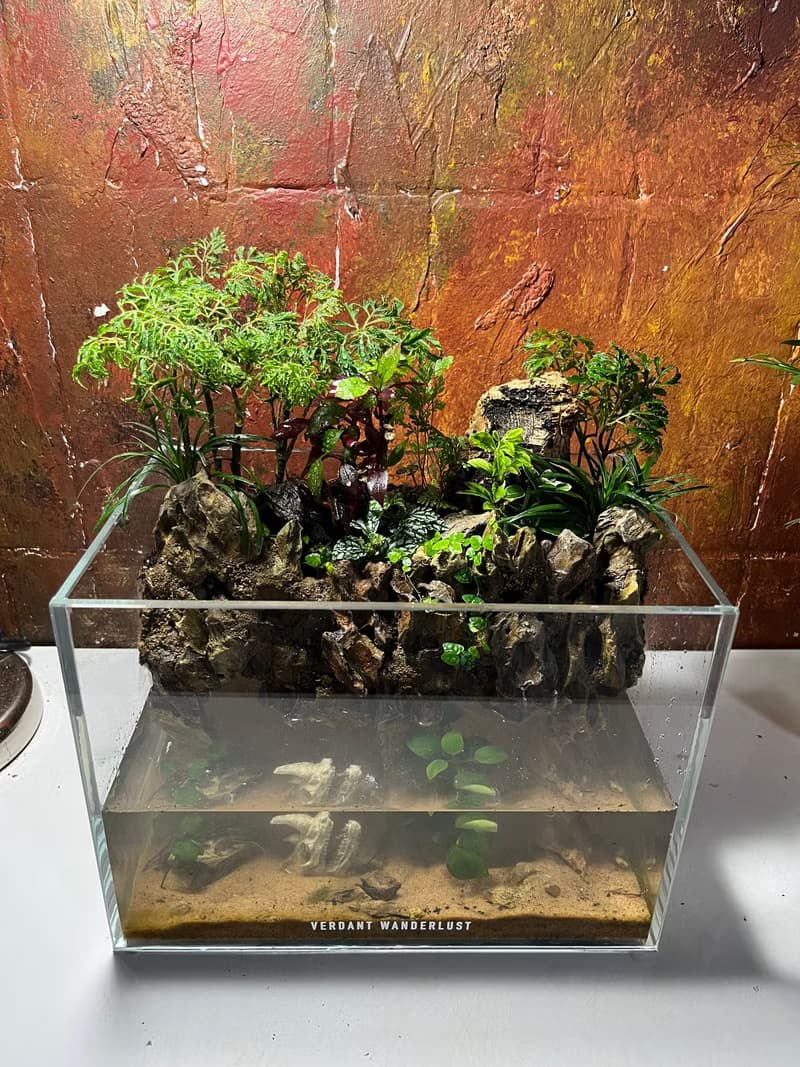 【生態缸－潺林之境】微景觀 室內植栽 禮物 辦公室擺設