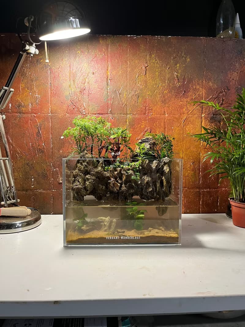 【生態缸－潺林之境】微景觀 室內植栽 禮物 辦公室擺設
