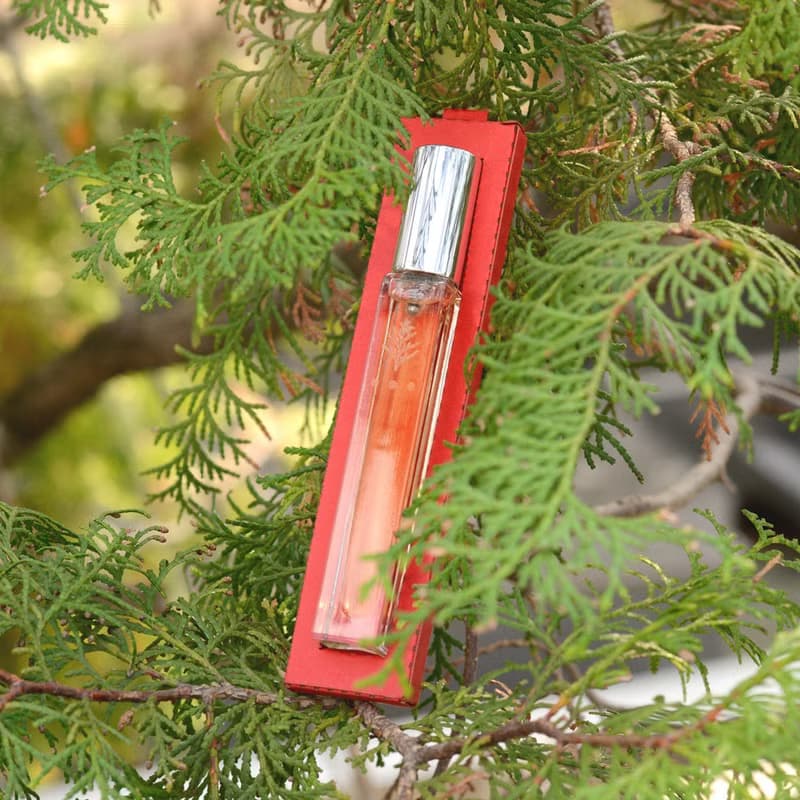 台灣檜木精油10ml-噴霧式|紅檜渾厚香氛療癒 無添加人工化學成份