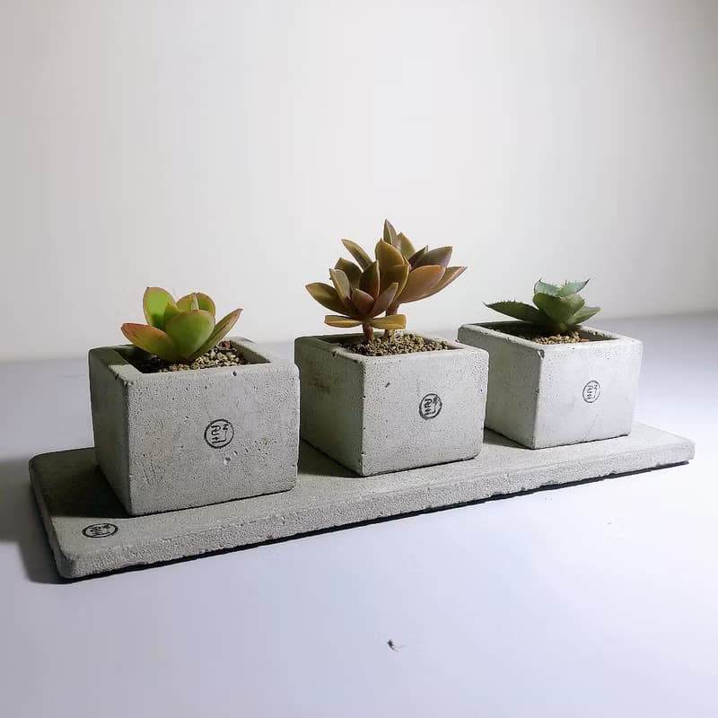 【野草不野】開店新居、祝賀花禮 - 三立方 / 方盆三連組含墊