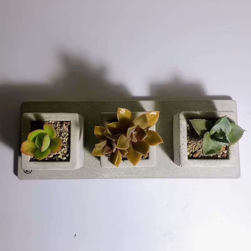 【野草不野】開店新居、祝賀花禮 - 三立方 / 方盆三連組含墊