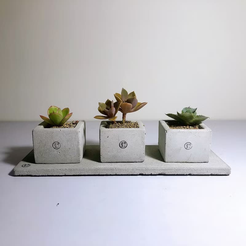 【野草不野】開店新居、祝賀花禮 - 三立方 / 方盆三連組含墊